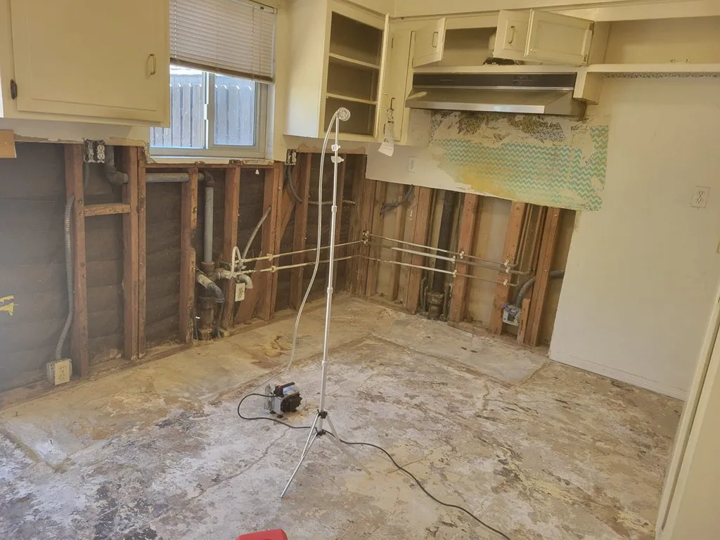 Kitchen mid-remediation — drywall stripped to studs after a hidden plumbing leak fed mold growth.